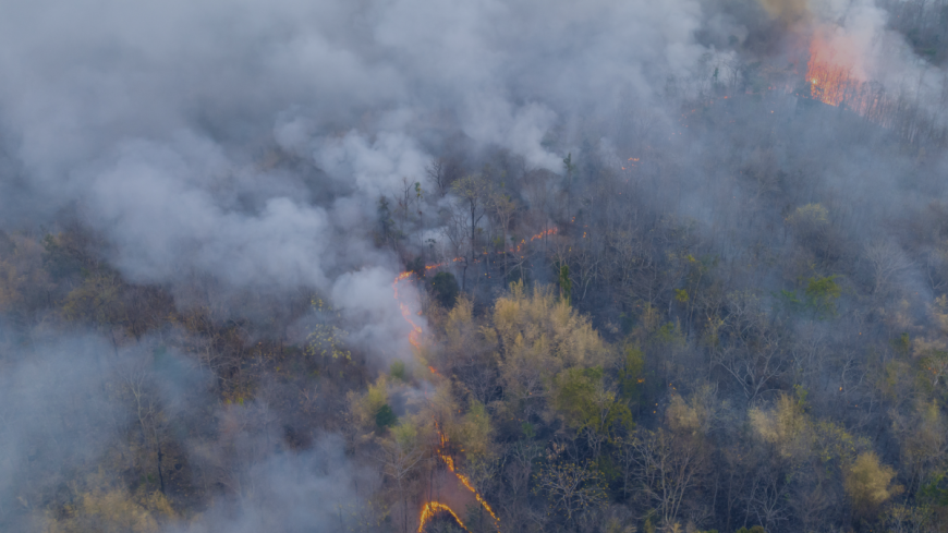 Wildfire Season: Helping Patients Prepare Before Smoke Becomes a Health Emergency