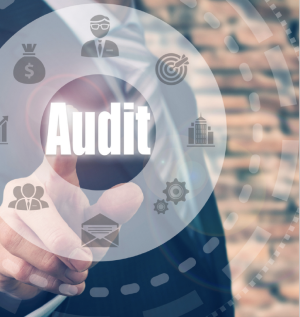 Proven Audit and Appeal Strategies