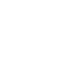 Icon of Respiratory